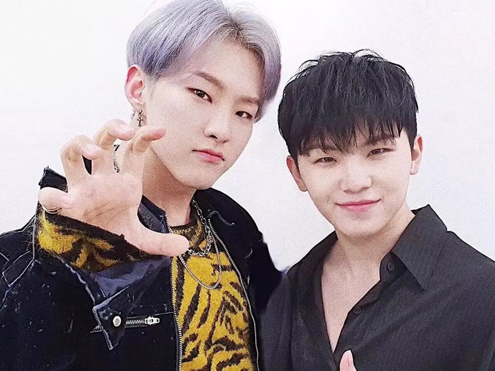 hoshi woozi
